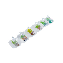 Transparent Adhesive Wall Hooks: Premium Quality, 6-Pack
