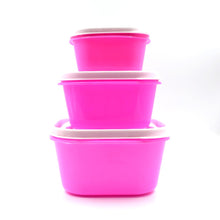 2029 3 Pc Multi-Purpose Container used in all kinds of household and official purposes for storing food and stuffs etc. 