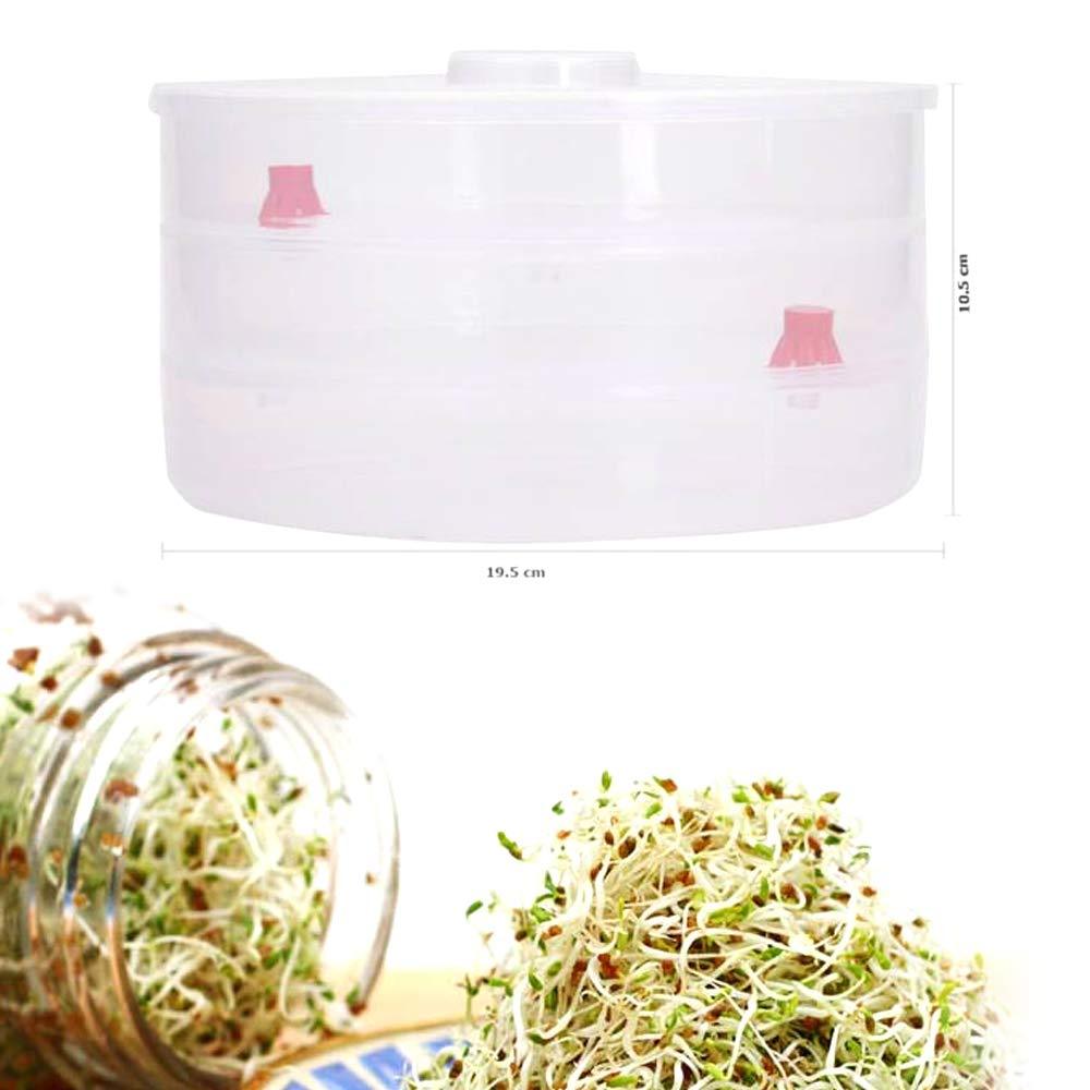 093 Plastic 3 Compartment Sprout Maker, White Sai Krupa Emart