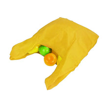 REUSABLE INSULATED GROCERY SHOPPING PLASTIC BAG WASHABLE AND FOLDABLE